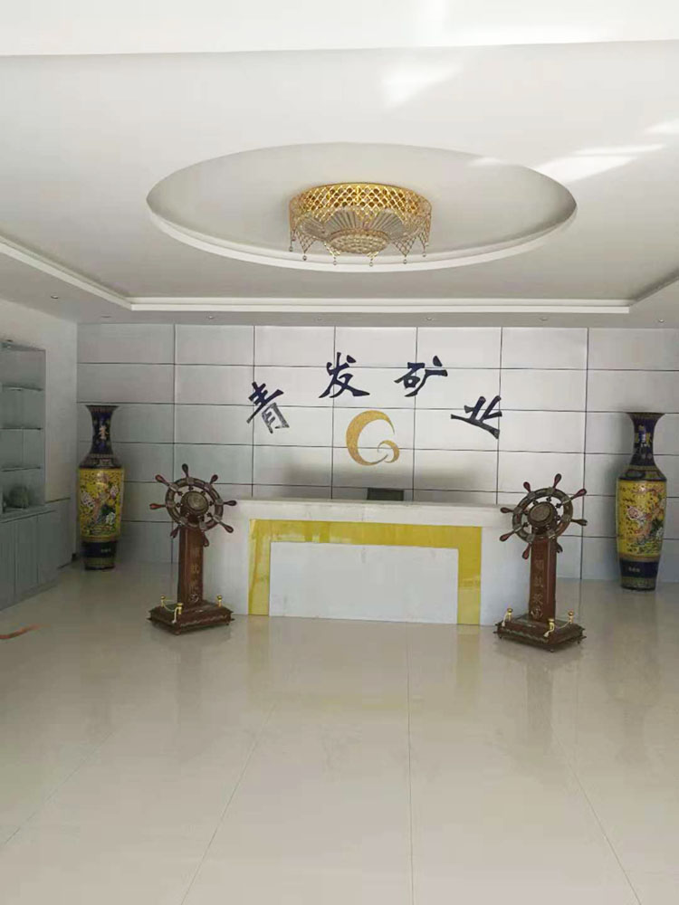 洛陽青發(fā)礦業(yè)公司執(zhí)行案司法評估