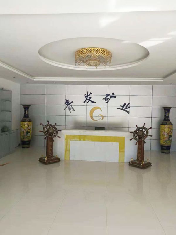 洛陽青發(fā)礦業(yè)公司執(zhí)行案司法評估
